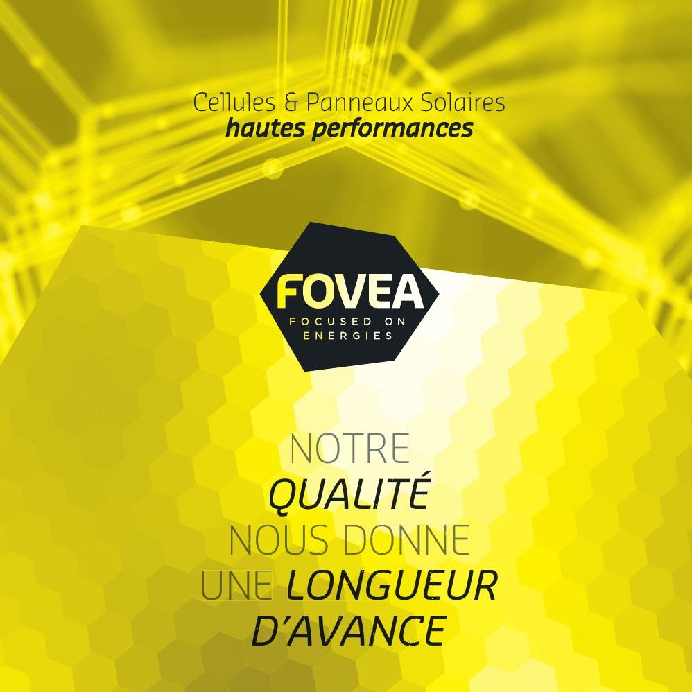 FOVEA — Ταυτότητα & φυλλάδιο
